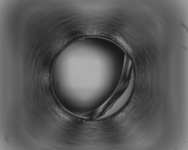 X0000091900441200709121502