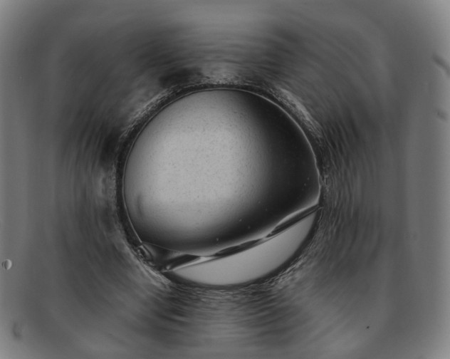 X0000091900442200709121502