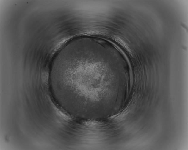 X0000091900444200709121502