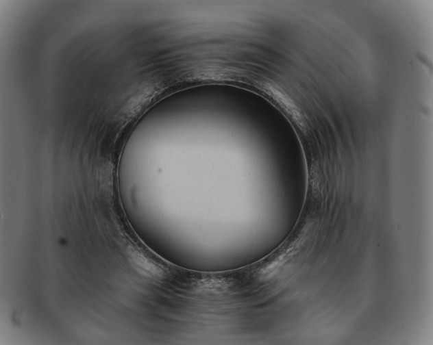 X0000091900445200709121502