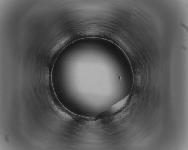 X0000091900446200709121502