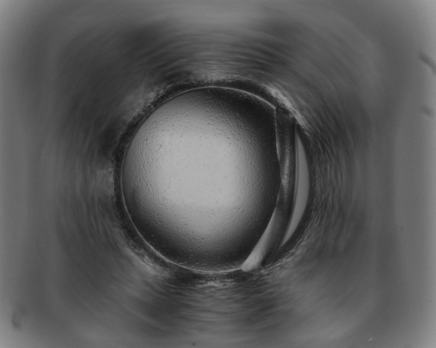 X0000091900447200709121502