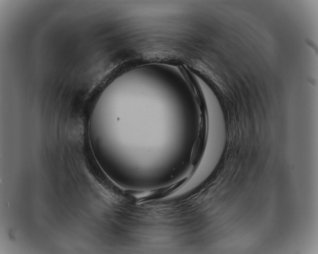 X0000091900448200709121502