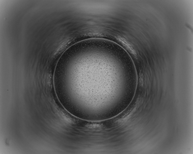 X0000091900449200709121502