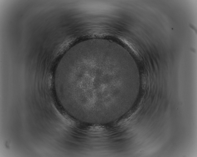 X0000091900451200709121502