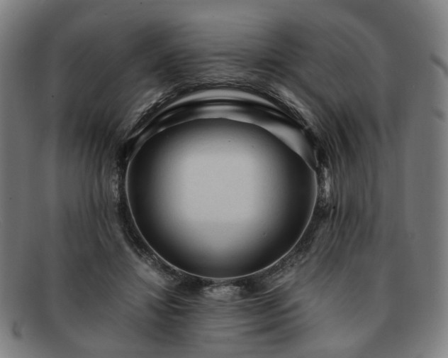 X0000091900452200709121502