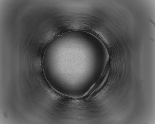 X0000091900453200709121502