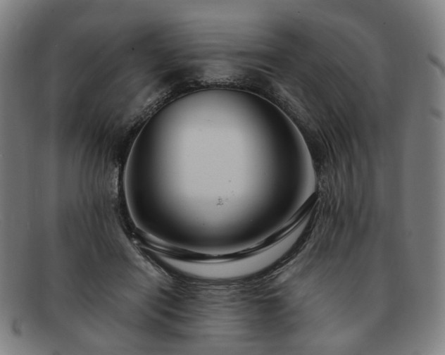 X0000091900454200709121502