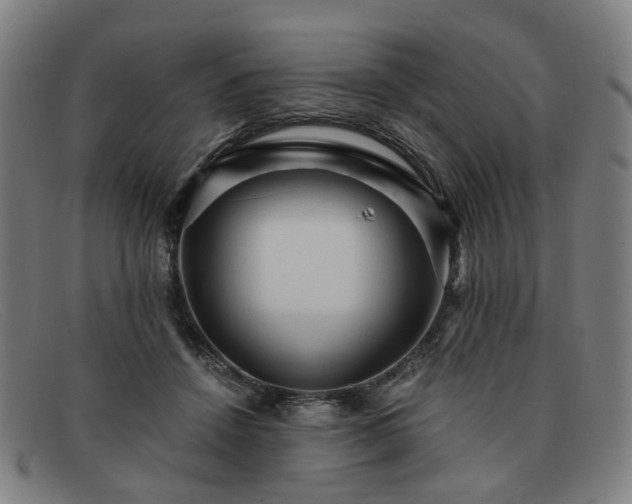 X0000091900456200709121502