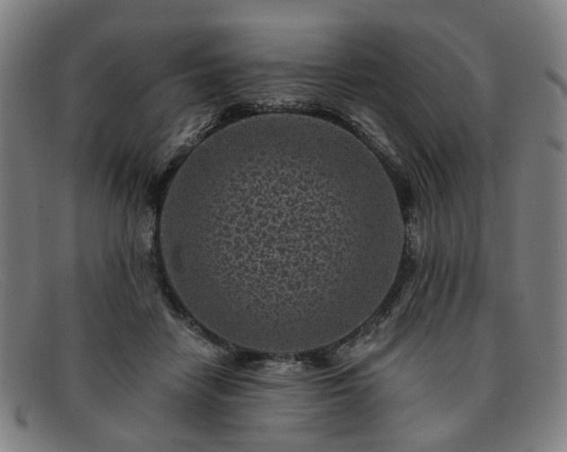 X0000091900458200709121502