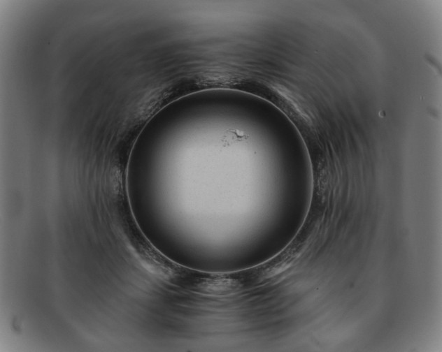 X0000091900459200709121502