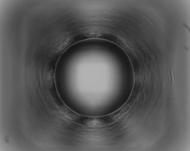 X0000091900460200709121502