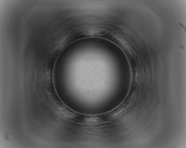 X0000091900461200709121502