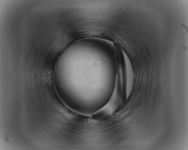 X0000091900462200709121502