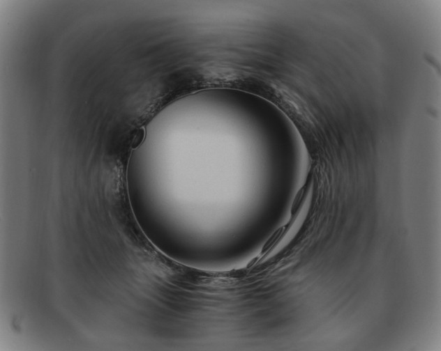 X0000091900463200709121502