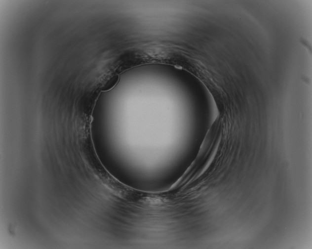 X0000091900464200709121502