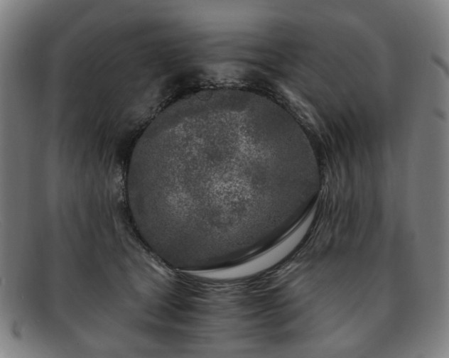 X0000091900465200709121502