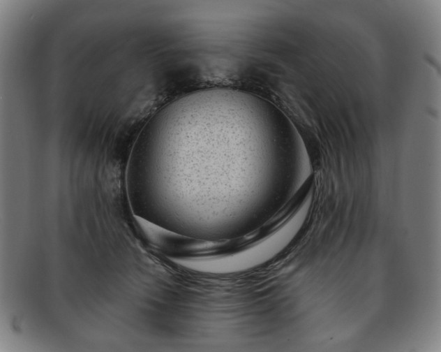 X0000091900466200709121502