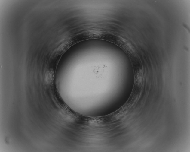 X0000091900468200709121502