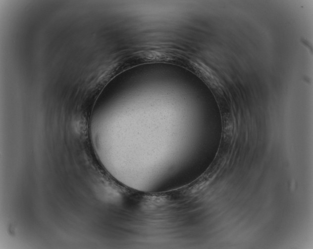 X0000091900469200709121502