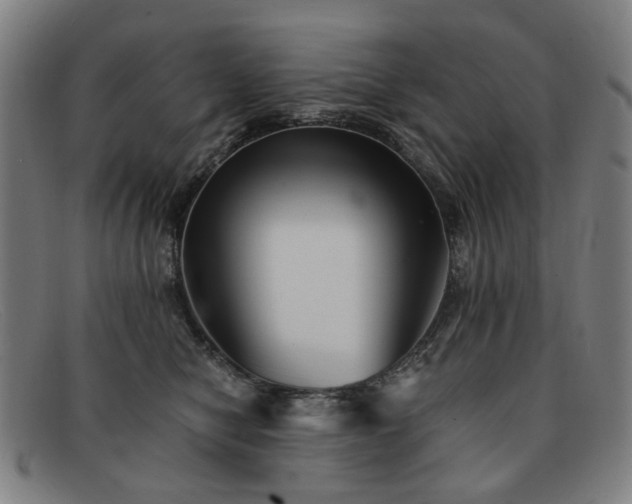 X0000091900470200709121502