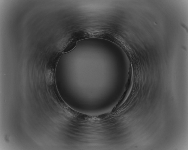 X0000091900471200709121502