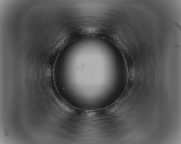 X0000091900472200709121502