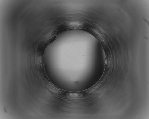 X0000091900473200709121502