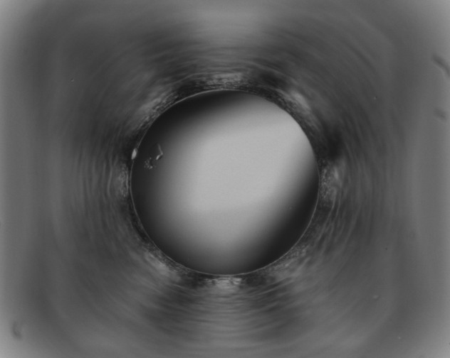 X0000091900474200709121502