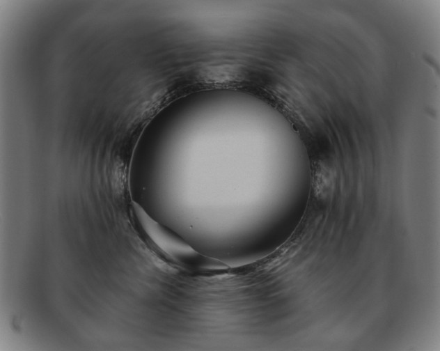 X0000091900476200709121502