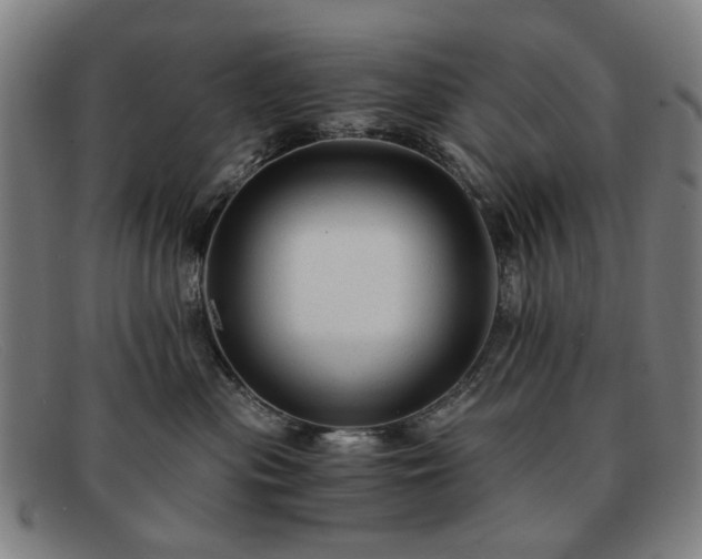 X0000091900477200709121502