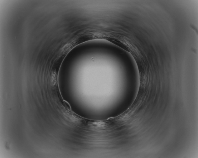 X0000091900478200709121502