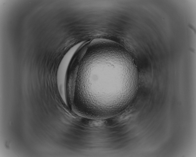 X0000091900479200709121502