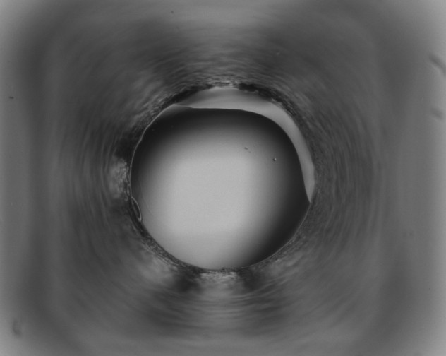 X0000091900480200709121502