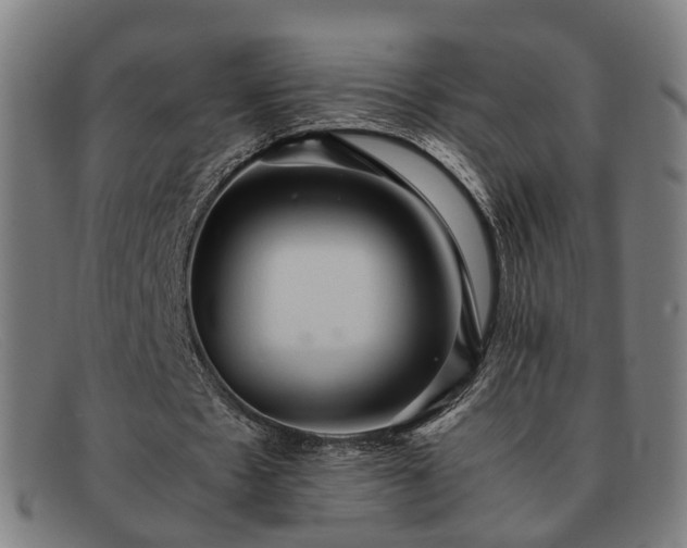 X0000091900481200709121501