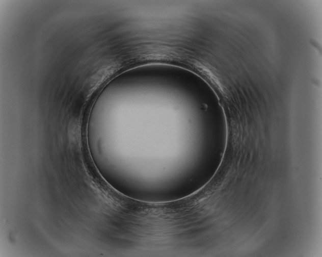 X0000091900482200709121501