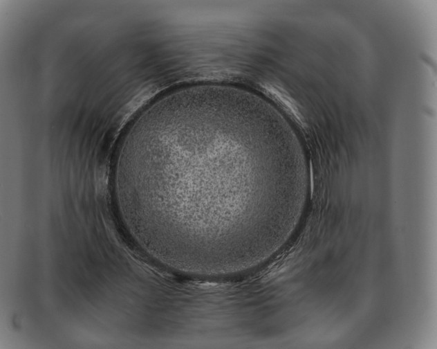 X0000091900483200709121501