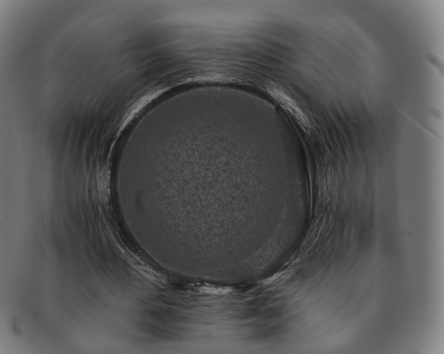 X0000091900484200709121501