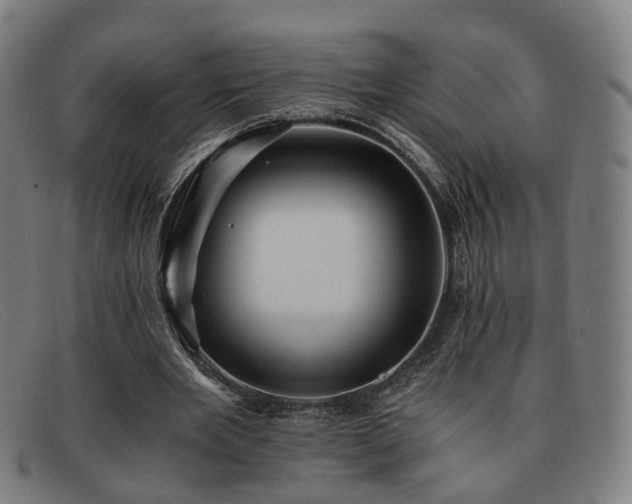 X0000091900485200709121501