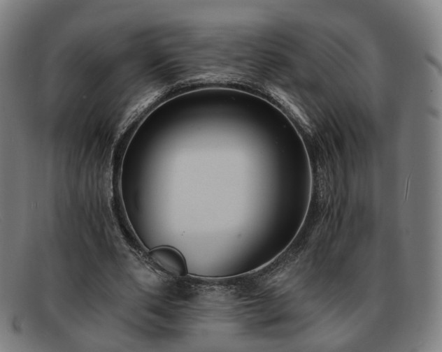 X0000091900486200709121501