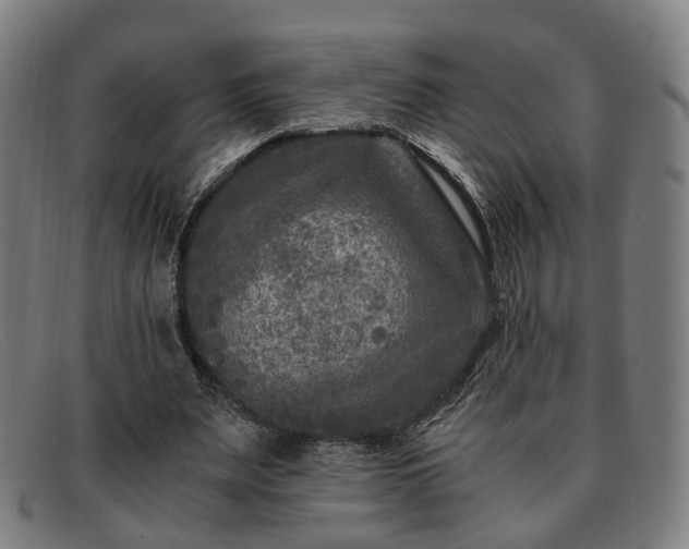 X0000091900487200709121501