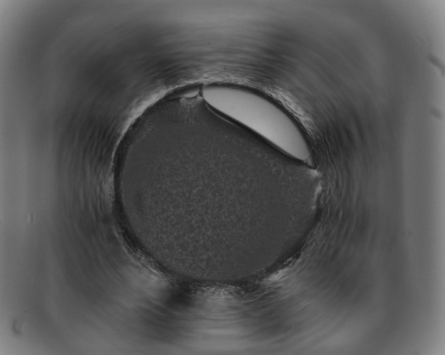 X0000091900488200709121501