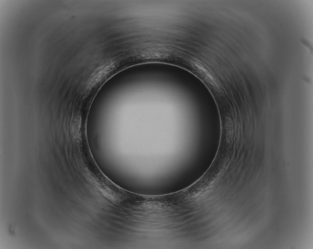 X0000091900490200709121501