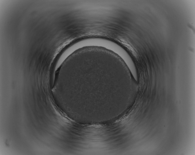 X0000091900492200709121501