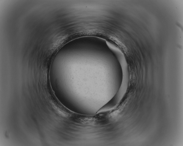 X0000091900493200709121501