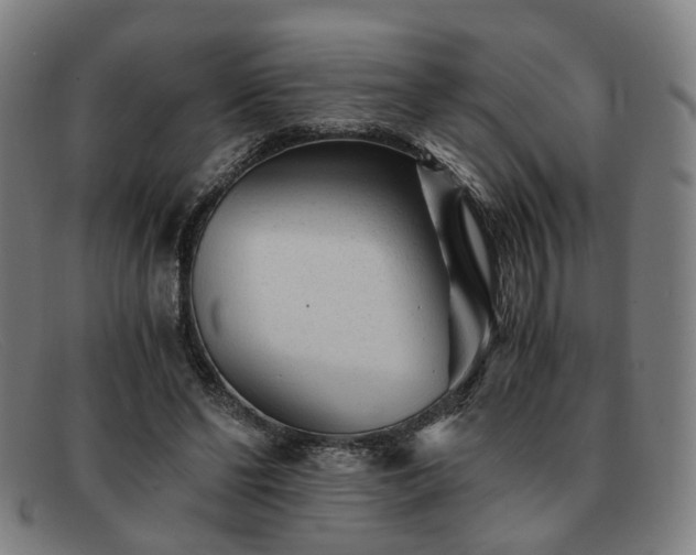 X0000091900494200709121501