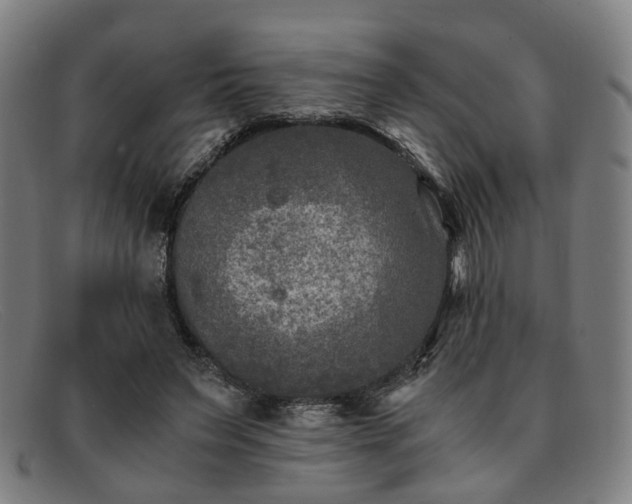 X0000091900495200709121501