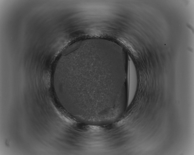 X0000091900496200709121501