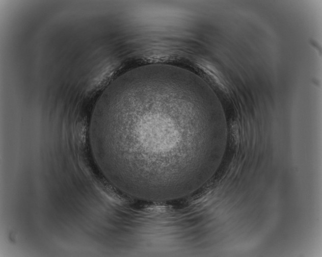 X0000091900499200709121501