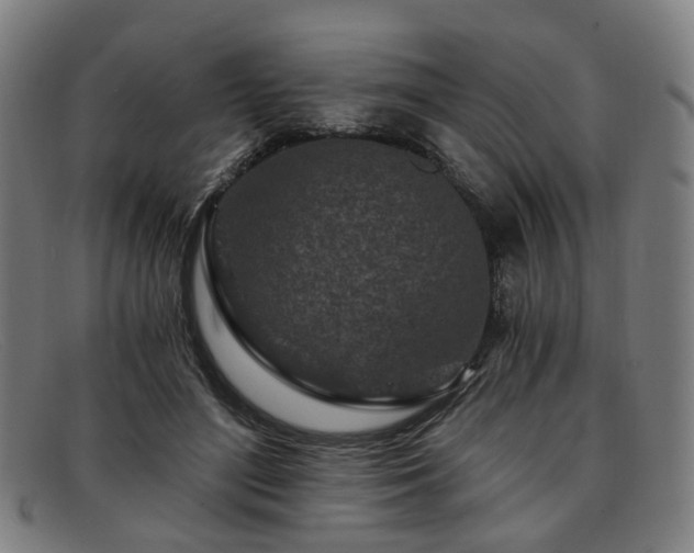 X0000091900500200709121501